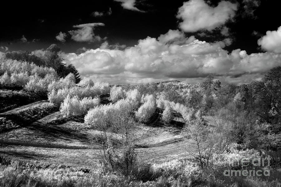Infrared  #127 Photograph by FineArtRoyal Joshua Mimbs
