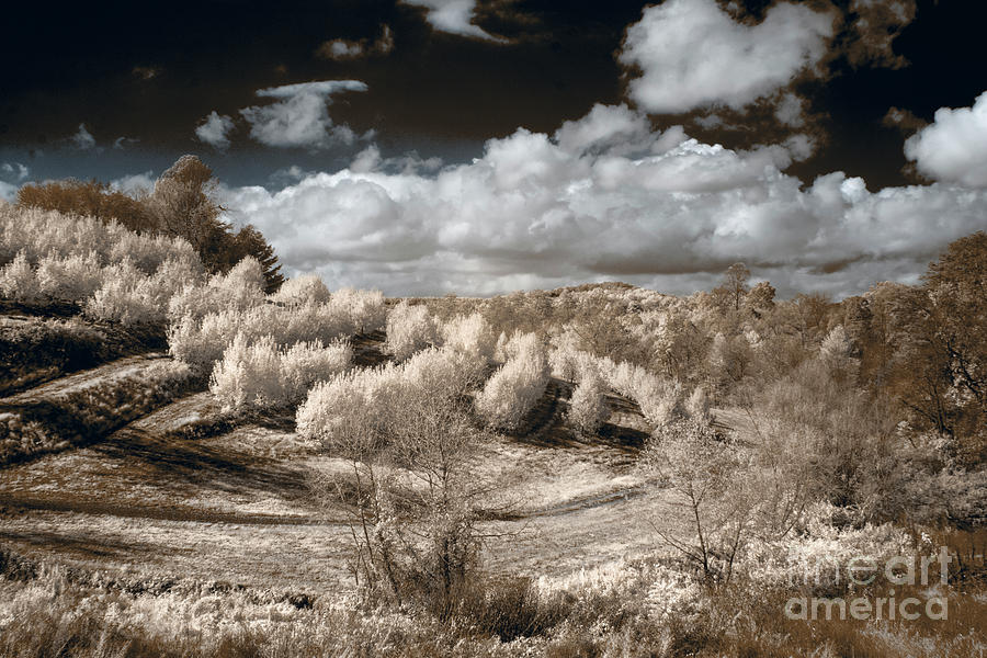 Infrared  #128 Photograph by FineArtRoyal Joshua Mimbs