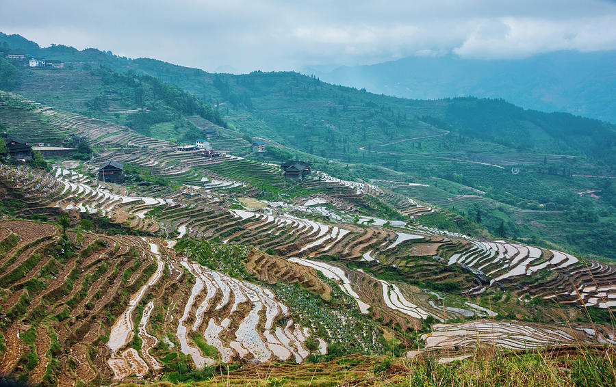 Nature Photograph - Longji terraced fields scenery #128 by Carl Ning