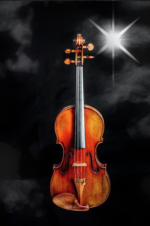 129 .1841 Violin by Jean Baptiste Vuillaume Photograph by M K Miller
