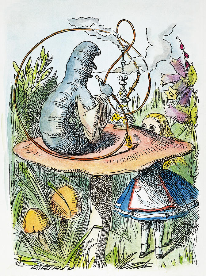 Alice In Wonderland Drawing by Sir John Tenniel Pixels