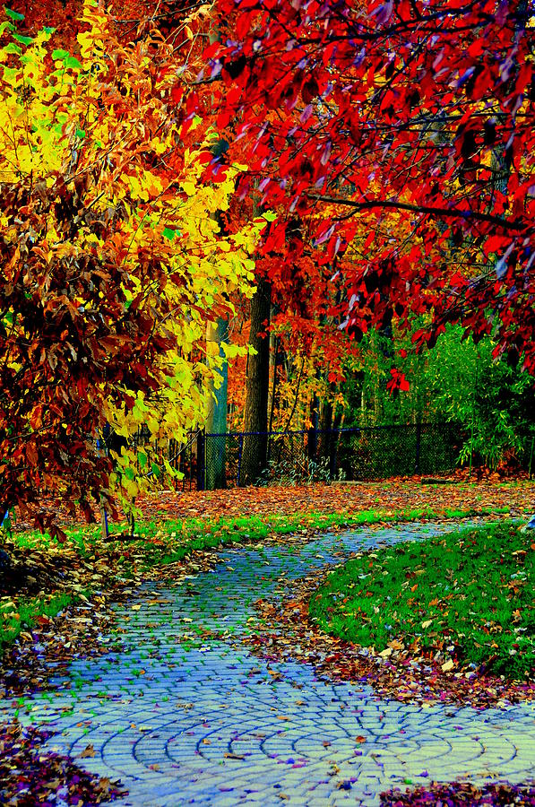 Autumn Colors #13 Digital Art by Aron Chervin