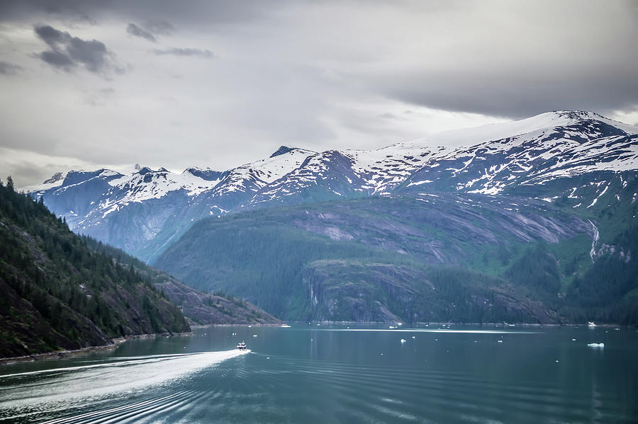 Beautiful Landscape In Alaska Mountains  #13 Photograph by Alex Grichenko