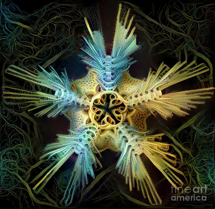 Beautiful undersea coral #13 Digital Art by Amy Cicconi