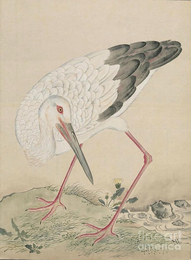 Birds of Japan in the 19th century #13 Painting by Celestial Images