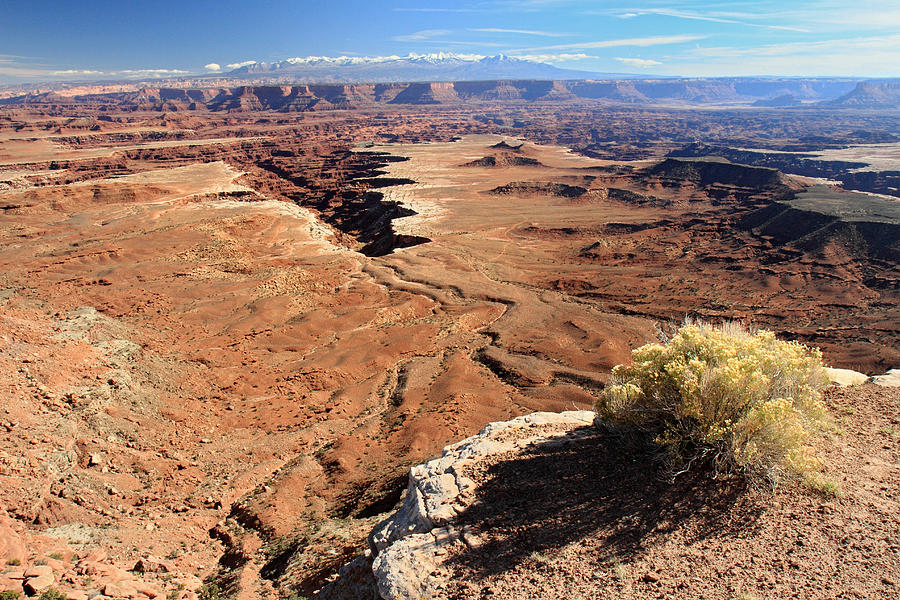 Canyonlands National Park #13 Photograph by Pierre Leclerc Photography