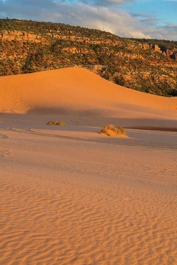 Coral Pink Sand Dunes Photograph By Jon Manjeot - Pixels