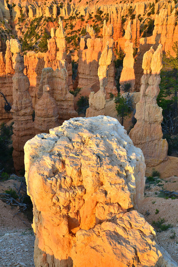 Fairyland Canyon #20 Photograph by Ray Mathis