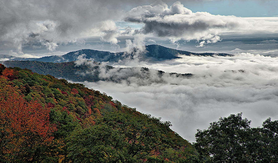   Great Smoky Mountains National Park  #13 Photograph by Alex Grichenko