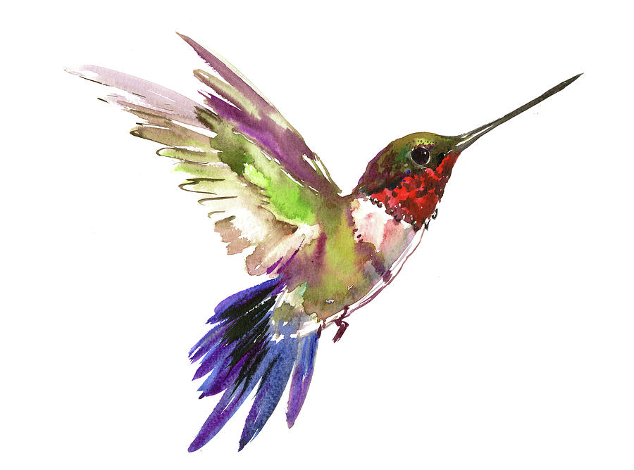 Hummingbird #14 Painting by Suren Nersisyan
