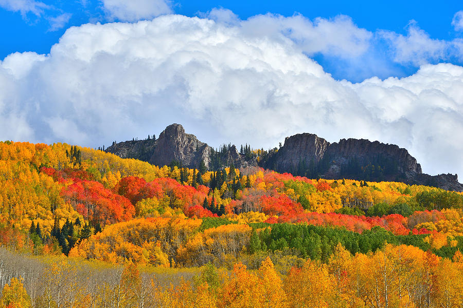 Kebler Pass Fall Colors #14 Photograph by Ray Mathis