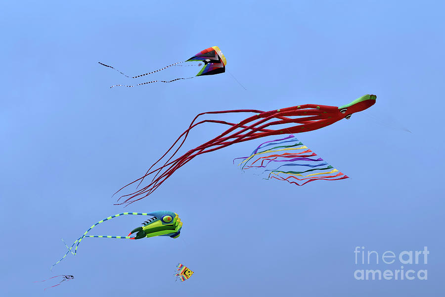 Kites flying during Kite festival #13 Photograph by George Atsametakis