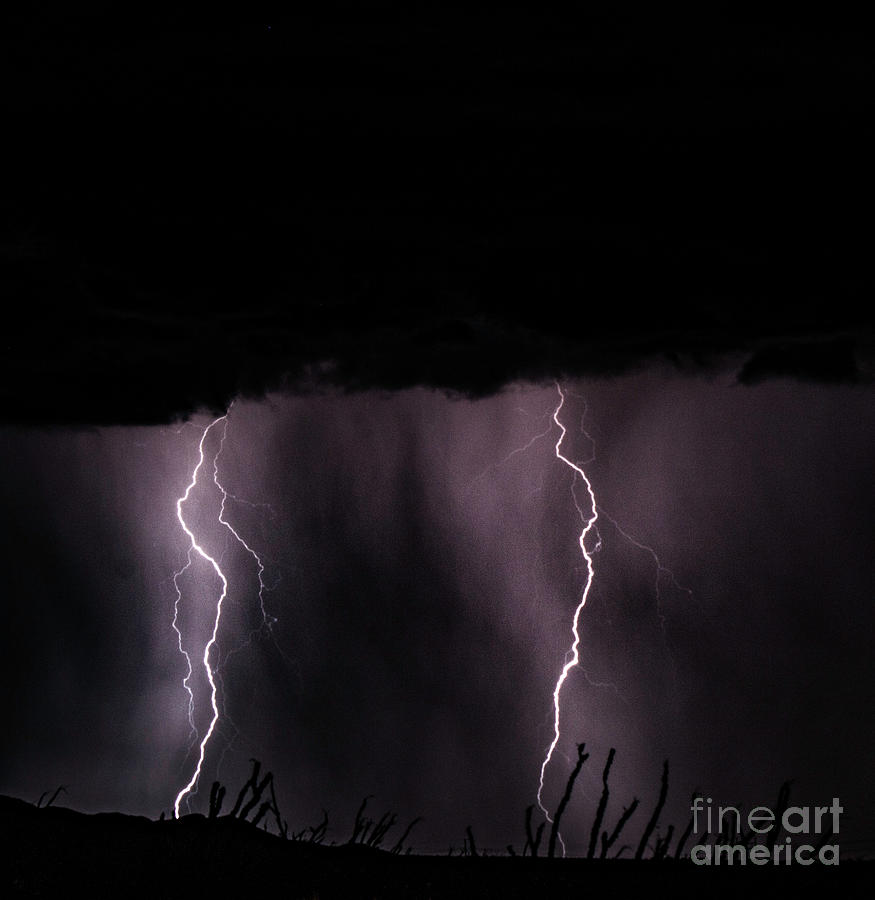 Lightning #14 Photograph by Mark Jackson