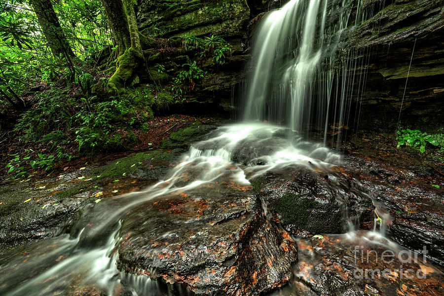 Lin Camp Branch Waterfall #13 Photograph by Thomas R Fletcher