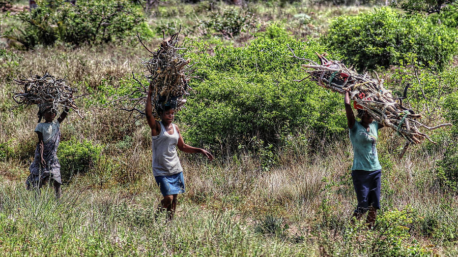 Mozambique #13 Photograph by Paul James Bannerman