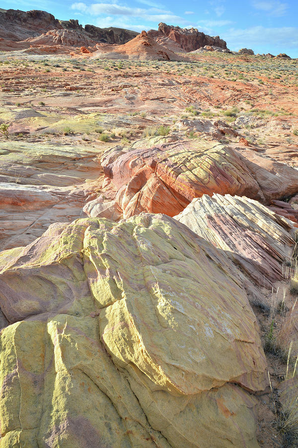 Multicolored Sandstone in Valley of Fire #16 Photograph by Ray Mathis