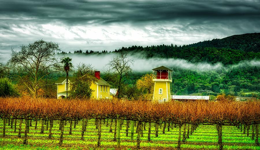 Grape Photograph - Napa Valley Vineyard #13 by Mountain Dreams