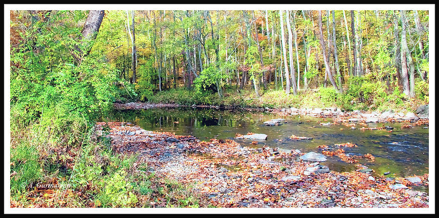 Pennsylvania Stream in Autumn #13 Photograph by A Macarthur Gurmankin