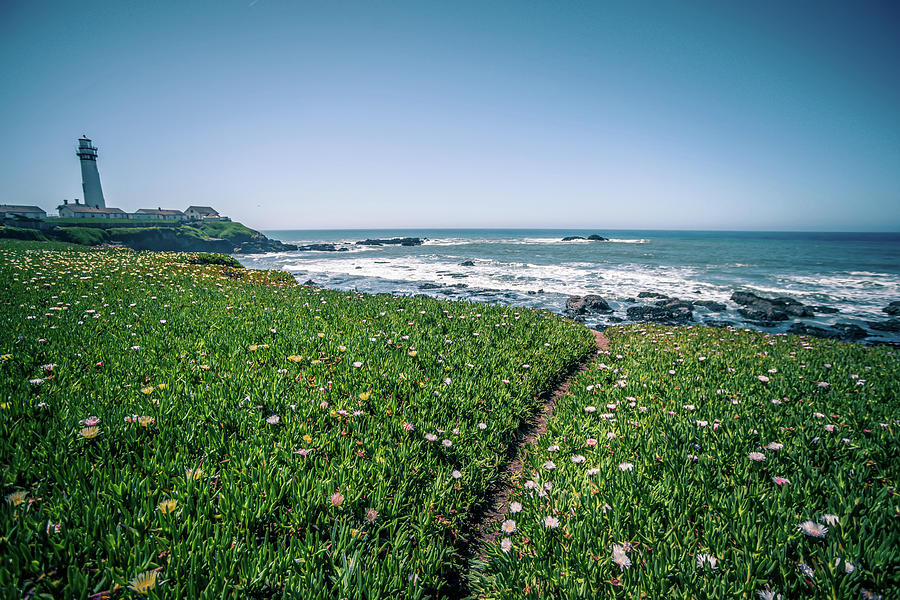 Pigeon Point Lighthouse and landscapes on pacific coast #13 Photograph by Alex Grichenko