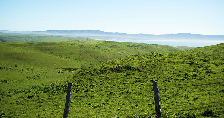 Point Reyes National Seashore Landscapes In California #13 Photograph by Alex Grichenko