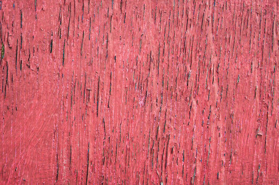 Abstract Photograph - Red wood #13 by Tom Gowanlock