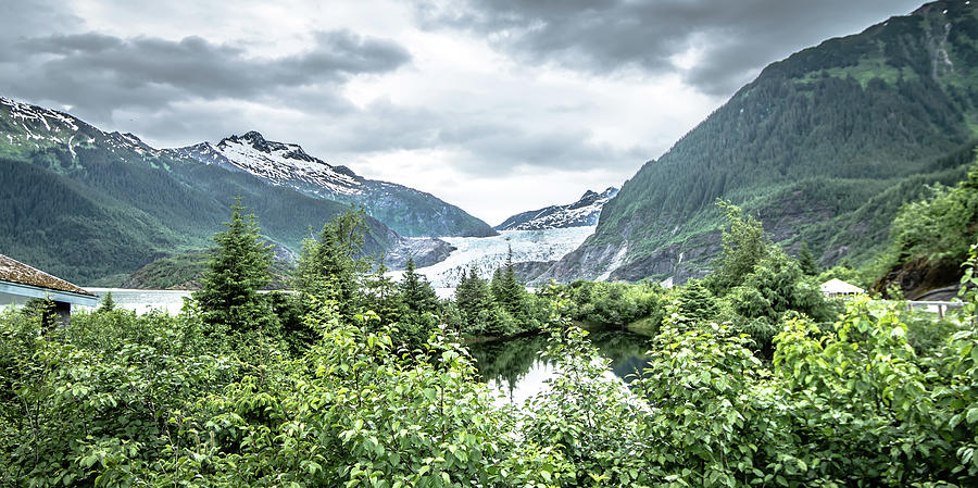 Scenery Around Mendenhall Glacier Park In Juneau Alaska #13 Photograph by Alex Grichenko