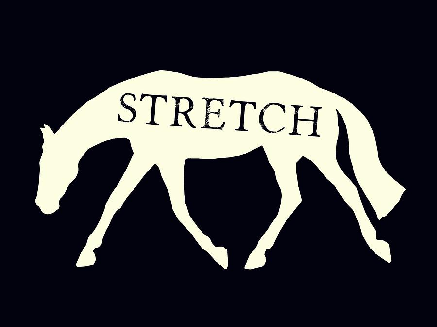 Stretch Negative Photograph by Dressage Design