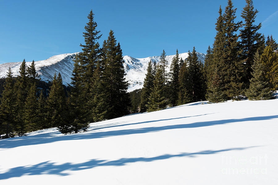 Summit of Mount Elbert Colorado in Winter #13 Photograph by Steven Krull
