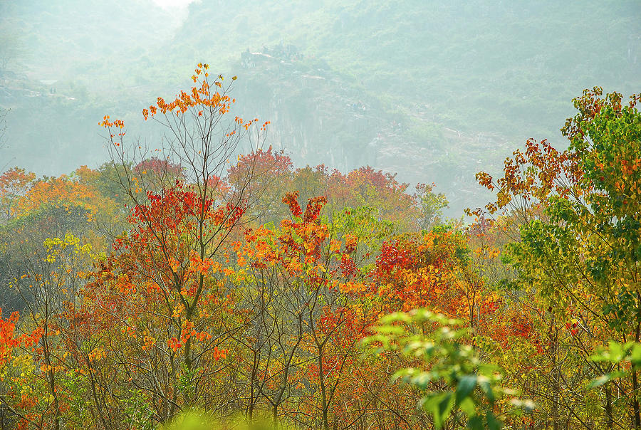 The colorful autumn scenery #13 Photograph by Carl Ning