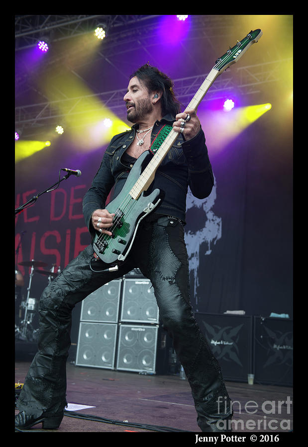 The Dead Daisies  #14 Photograph by Jenny Potter