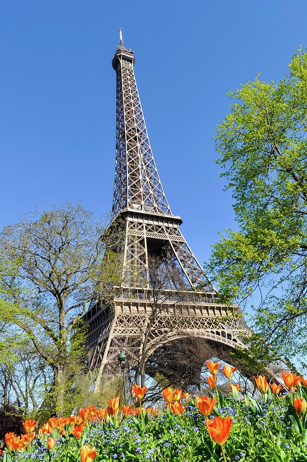 The Eiffel Tower in Paris #13 Photograph by Dutourdumonde Photography
