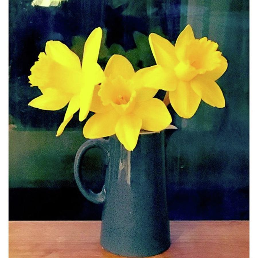 Spring Photograph - 13. Three Of A Kind #fms_threeofakind by Mo Barton
