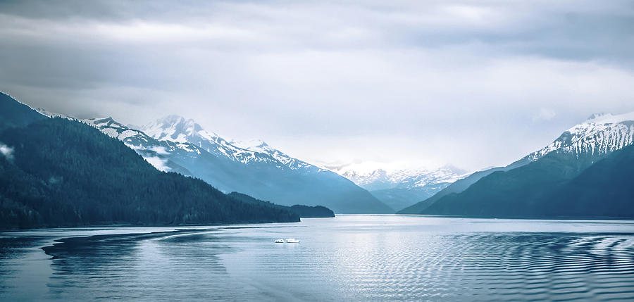 Tracy Arm Fjord Scenery In June In Alaska #13 Photograph by Alex Grichenko