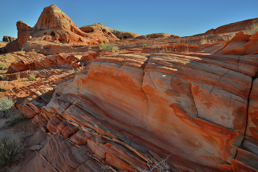 Waves of Color in Valley of Fire #13 Photograph by Ray Mathis