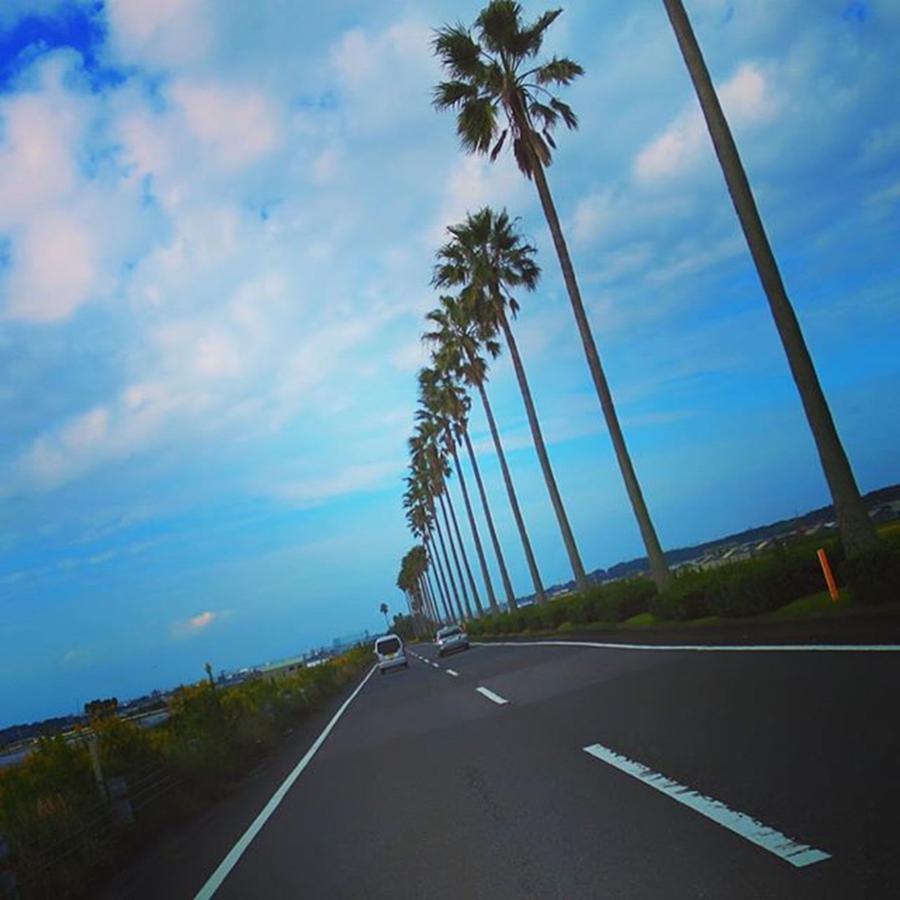 Instagram Photo #131461036887 Photograph by Suguru Murakami