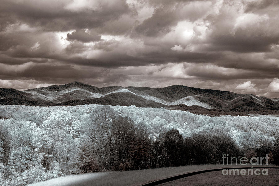 Infrared  #132 Photograph by FineArtRoyal Joshua Mimbs