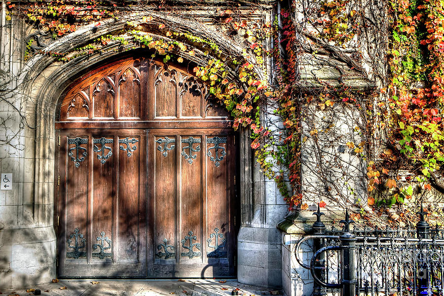 1335 University of Chicago Doorway Photograph by Steve Sturgill