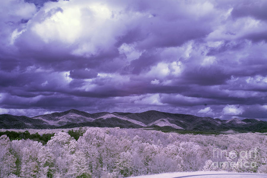 Infrared  #134 Photograph by FineArtRoyal Joshua Mimbs