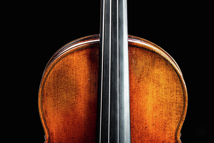 135 .1841 Violin by Jean Baptiste Vuillaume Photograph by M K Miller
