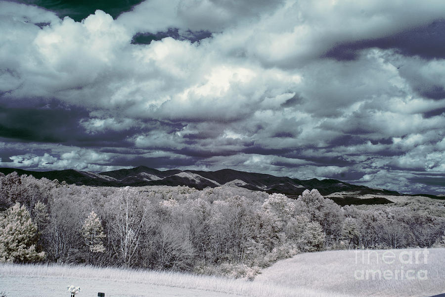 Infrared  #135 Photograph by FineArtRoyal Joshua Mimbs