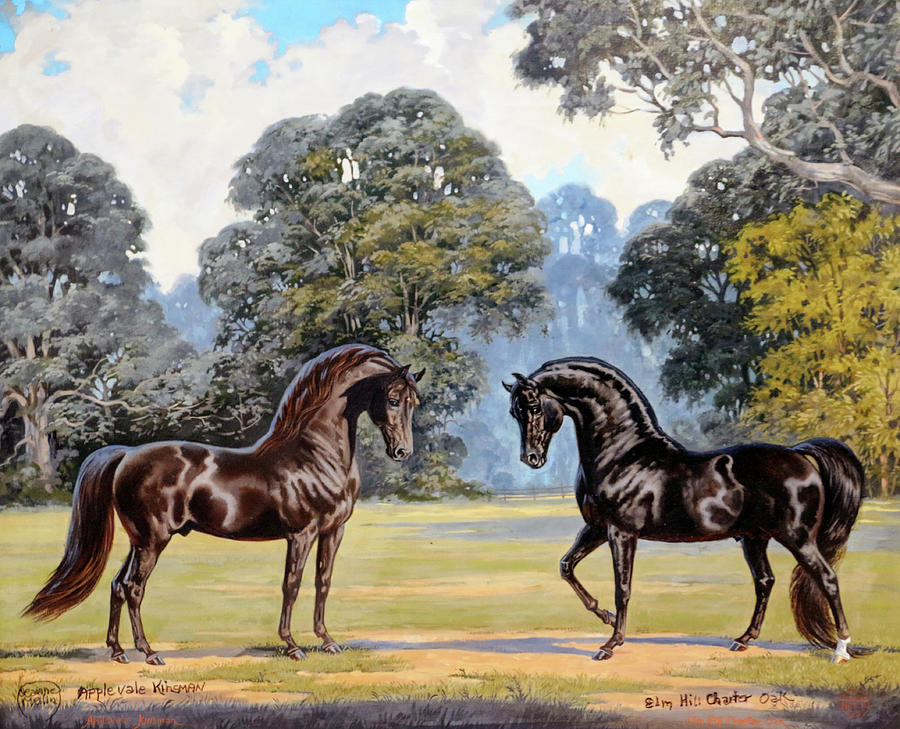 Morgan Horses Painting - #136 - Smokey and Oakie #136 by Jeanne Mellin Herrick