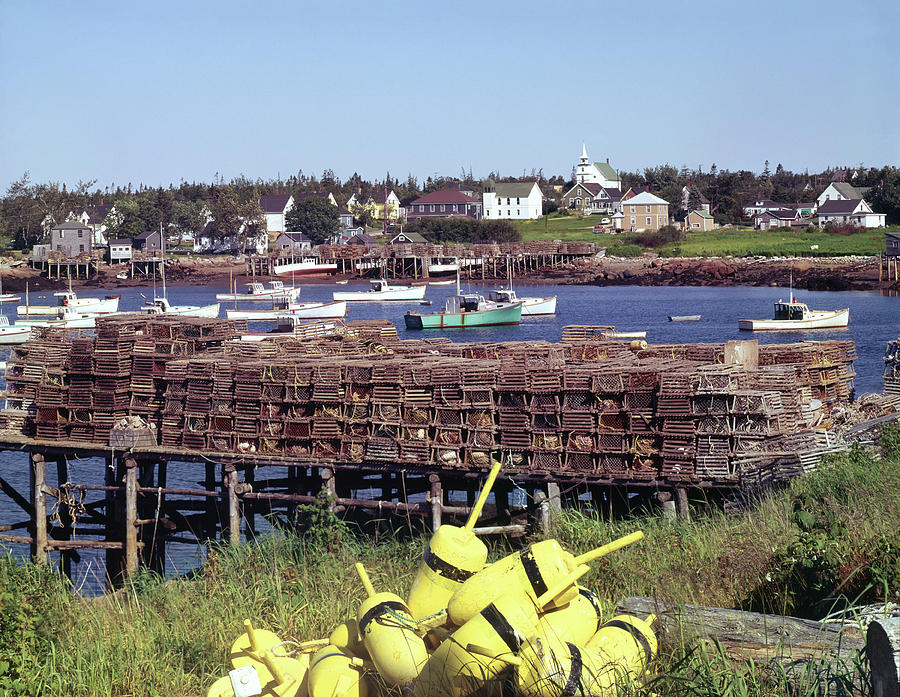 Acadia National Park Photograph - 136237-H Corea Fishing Village by Ed Cooper Photography