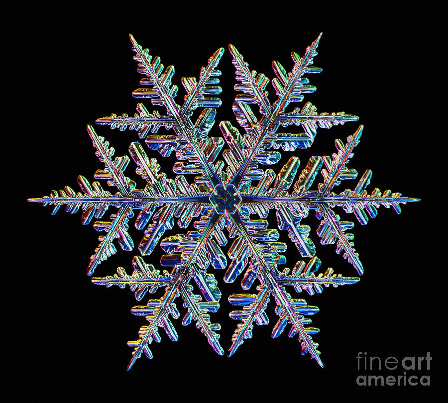 Christmas Photograph - Snowflake #138 by Kenneth Libbrecht