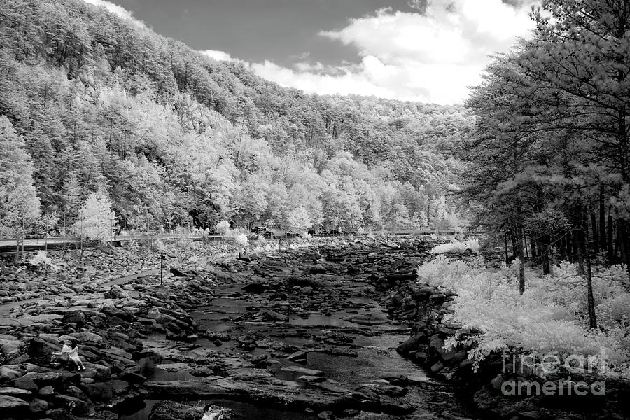 Infrared  #139 Photograph by FineArtRoyal Joshua Mimbs
