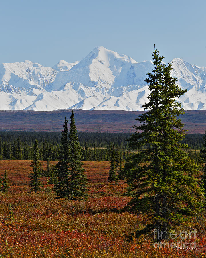 Alaska #14 Photograph by Steve Javorsky