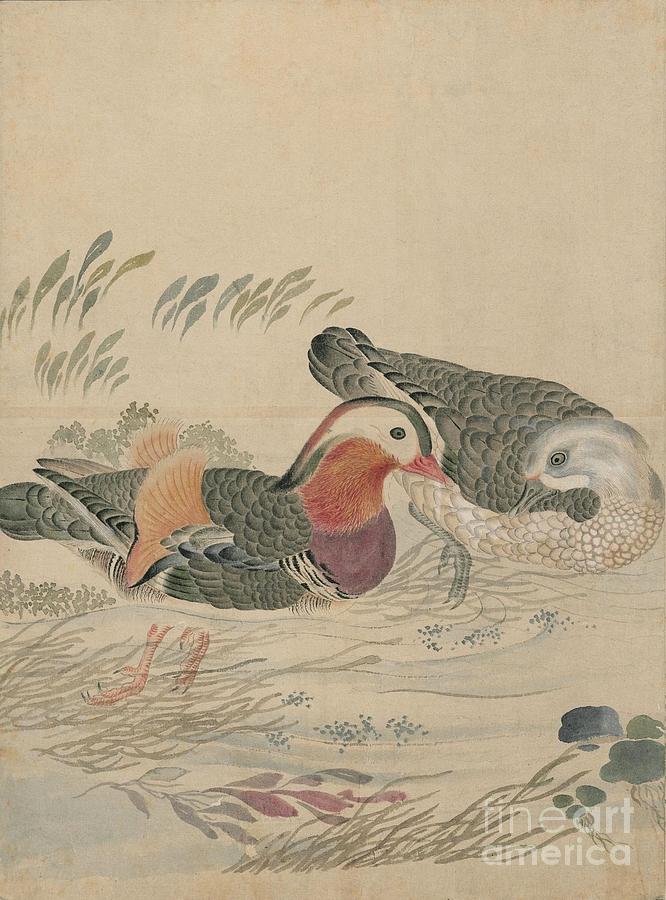 Birds of Japan in the 19th century #14 Painting by Celestial Images