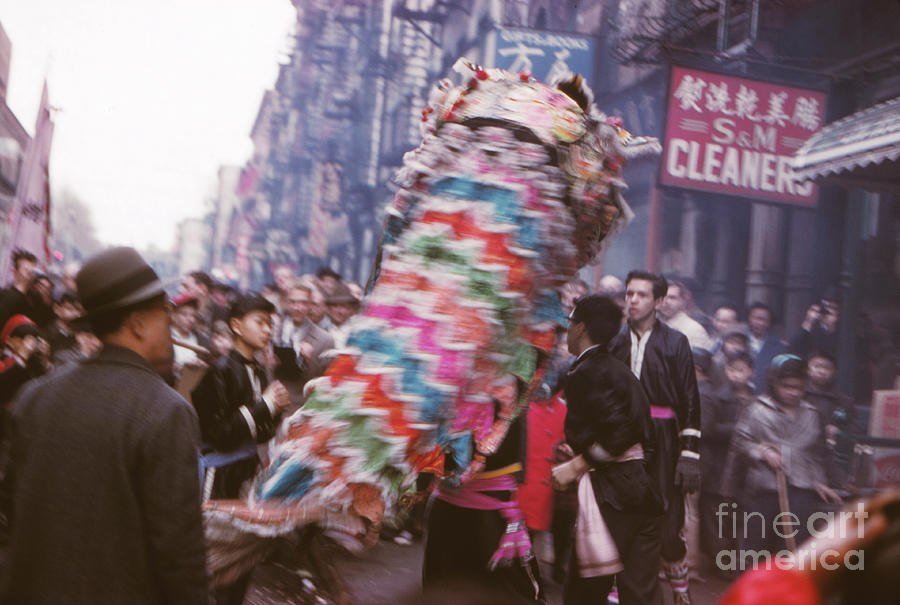 chinese new year 1963 animal and element