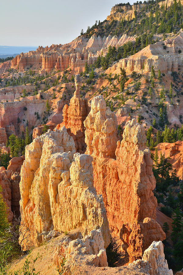 Fairyland Canyon #16 Photograph by Ray Mathis
