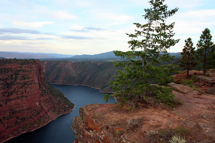 Flaming Gorge National Park #14 Photograph by Ellen Tully