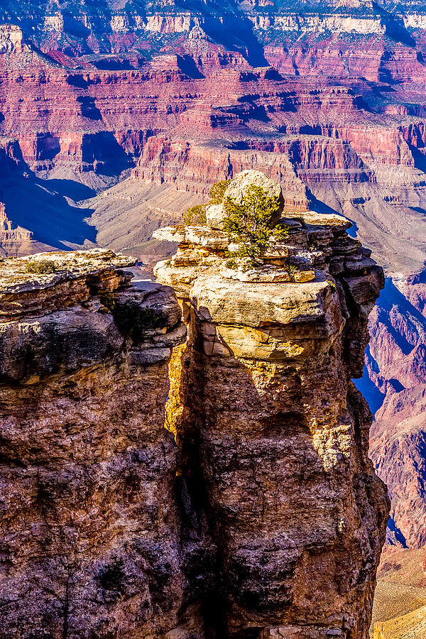 Grand Canyon sunny day with blue sky #14 Photograph by Alex Grichenko